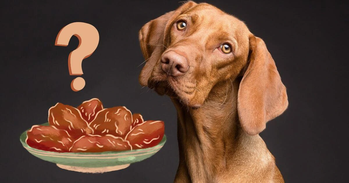 can dogs eat dates